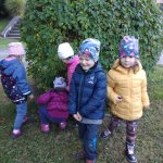 phoca_thumb_m_zmeck krteci 11 Fotogalerie